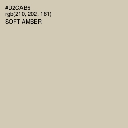 #D2CAB5 - Soft Amber Color Image